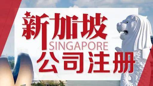 新加坡注册的公司怎么查(如何查新加坡注册的公司)