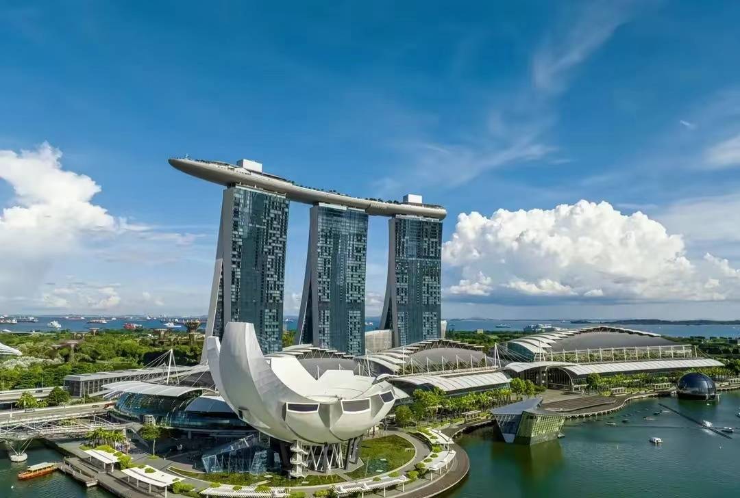 新加坡工作签证工资要求多少(新加坡工作签证工资要求高吗)